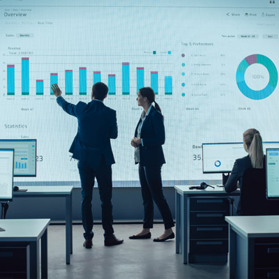 Business Stakeholders analysing data